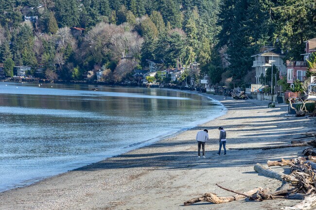 Maplewild’s scenic beaches are perfect for sunny day strolls and peaceful views.
