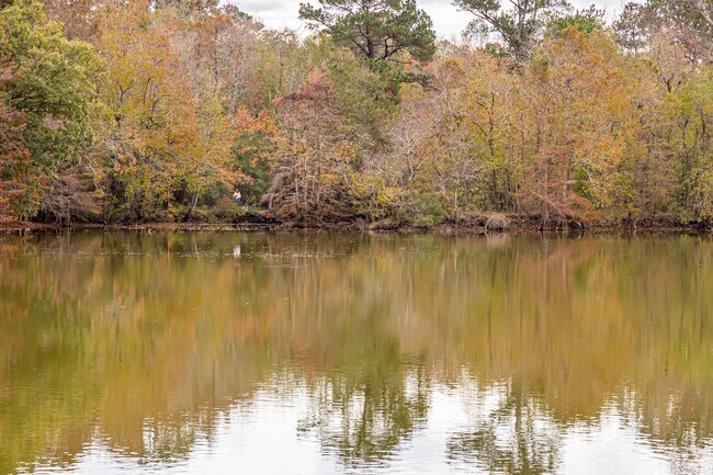 There are many places near Pearl River to go fishing.