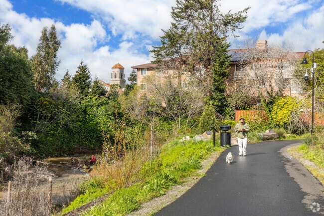 San Pablo's Wildcat Creek trail is great for a casual stroll.