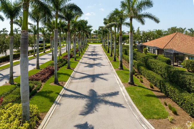 Majestic tall royal palm trees line the streets of the entrance to the Watermark neighborhood.