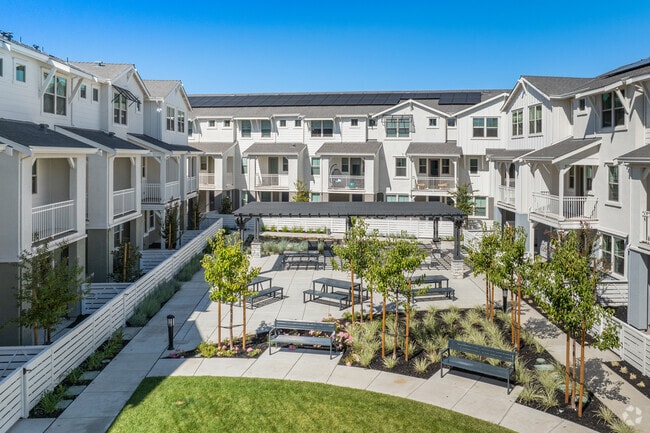 Contemporary condos in Contra Costa Centre offer sleek design and modern amenities.