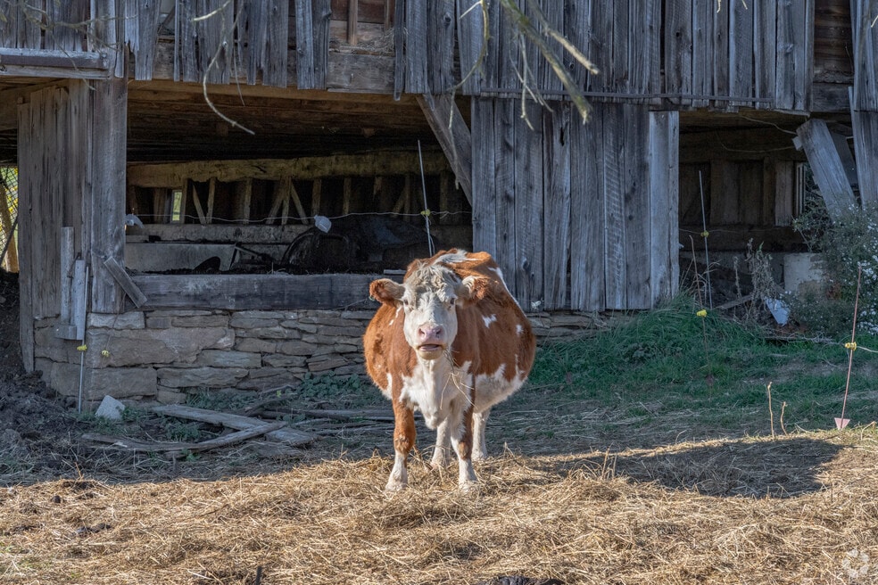 Allegheny_1031195_DF_102425_V1