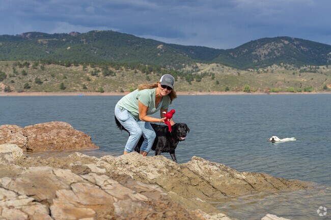 A Rogers Park resident enjoys playing fetch with her two labradors at the reservoir.