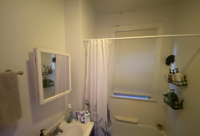 36 Cherokee St unit 3, Roxbury Crossing, MA 02120 - photo 3