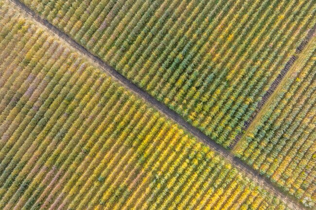 Crop fields stretch east of Burbank beyond residential roads.