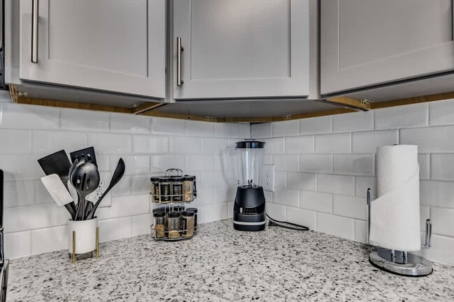 928 S Miami Blvd unit ID1284690P, Durham, NC 27703 - photo 3