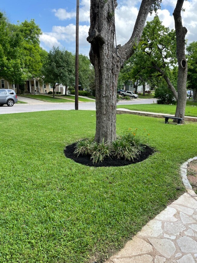 2204 Forest Trail, Austin, TX 78703