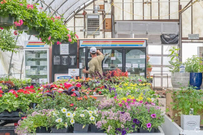 At Under the Sun Farm, a great variety of plants, herbs, fresh vegetables, drinks and other local produce can be enjoyed.