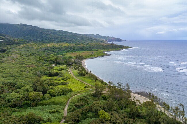 The reef system at the Waihee Coastal Dunes provides a home to many species of fish.