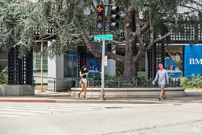 Explore Upper Seabright's vibrant streets, a perfect blend of urban life and coastal charm.