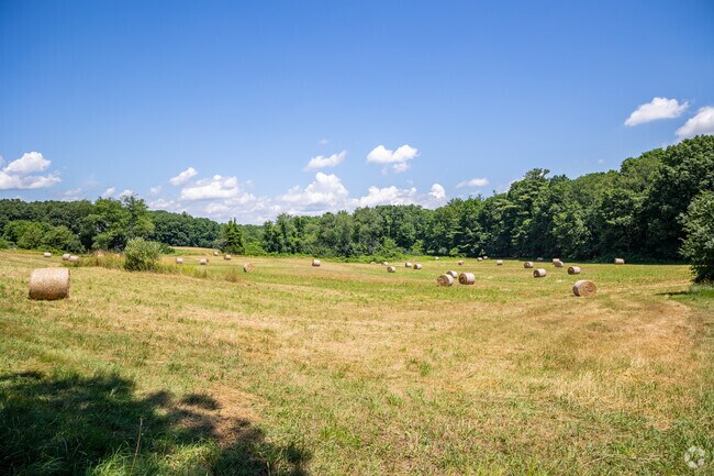 Wide open fields of hay is a popular sight in the East Parish neighborhood.