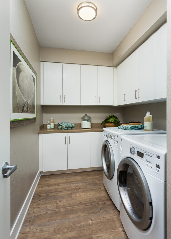 Signature Collection Kitchen