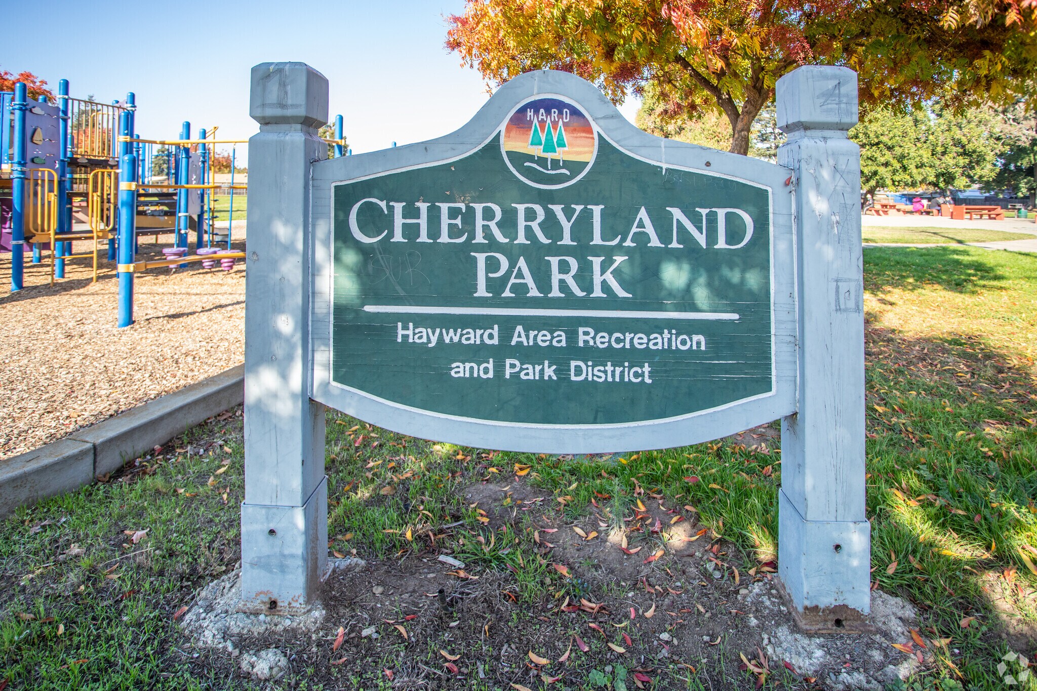 About Cherryland Schools, Demographics, Things to Do