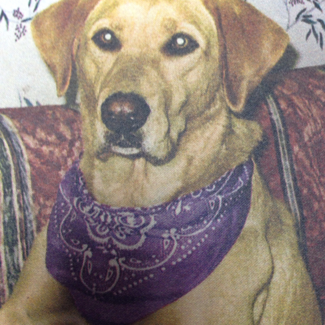 Agent Photo
