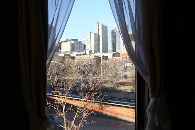 Denver Towers unit 303, Denver, CO 80204 - photo 5