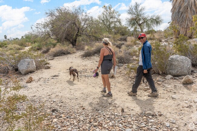 Cahuilla Hills Park is the perfect place for a morning hike in South Palm Desert.