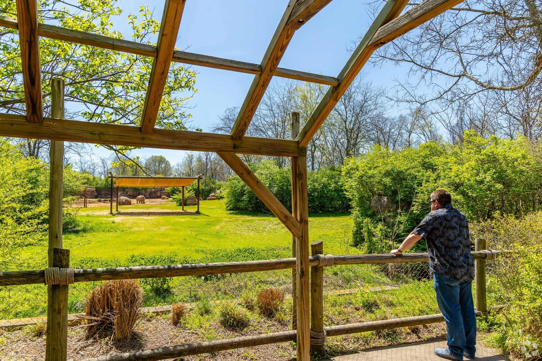 Take in the views at the rhinoceros station at the Nashville Zoo at Grassmere.