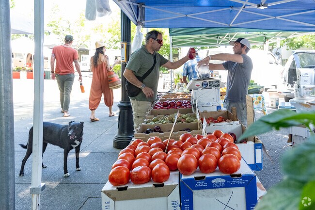The Healdsburg Farmer's Market offers many produce options.