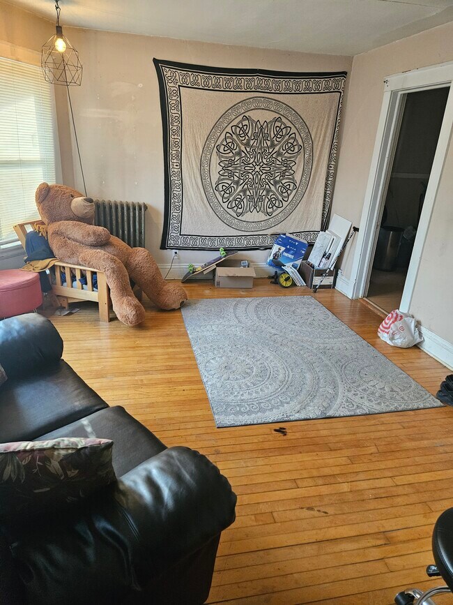 450 W Doty St unit 3, Madison, WI 53703 - photo 4