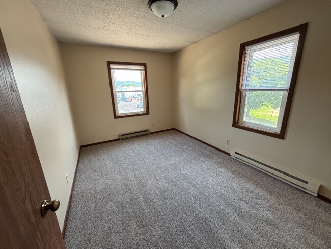 950 49th Ave unit 3, Winona, MN 55987 - photo 4