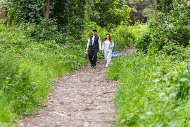 Palomarin Trailhead offers long hikes to the coast and waterfalls.
