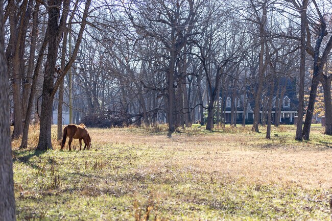 Many homes in Skiatook have ranches on their land.