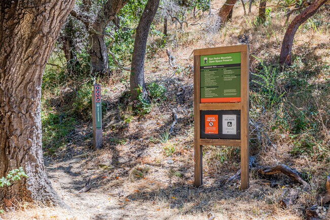 The San Pedro Mountain Preserve is heavily forested with oaks, bays, and madrones