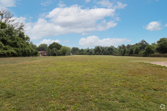 Kids can play and have fun on the field at Beech Tree Elementary School in Annandale.
