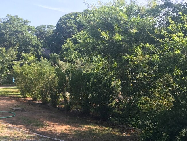 26 Cranwood Rd, Harwich, MA 02645 - photo 6