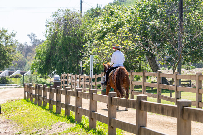 As the sun filters through the trees, the rider and horse navigate the winding paths of Bette Davis Park, showcasing the park's natural beauty.