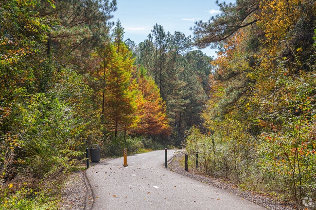 Go for a walk through the trees along the North Augusta Greenbelt in Southeast Edgefield.