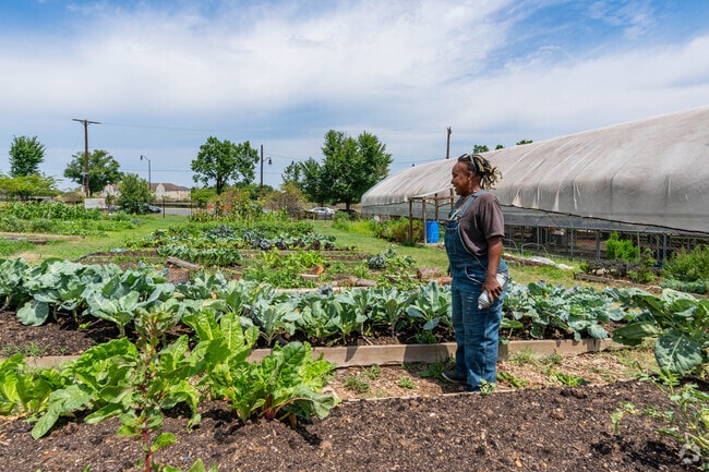 East Capital Urban Farm provides the community with fresh produce.
