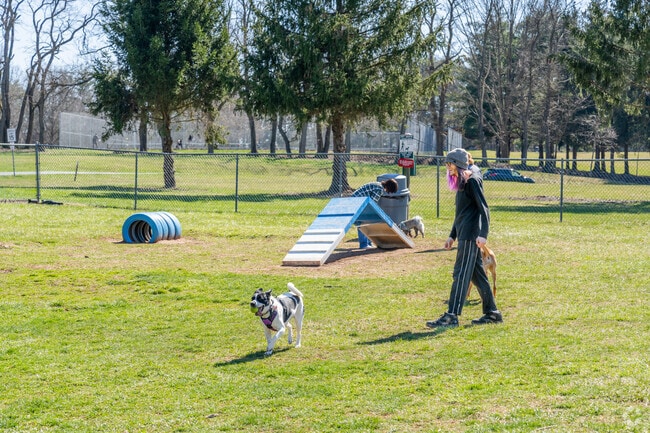 Lower Allen Community Park has a dog park featuring obstacles and spacious fields.