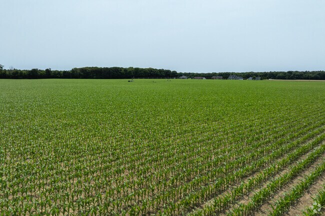 Many farms sell their crops to local residents of Bridgeville.