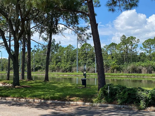 13014 Sanctuary Cove Dr unit 302, Temple Terrace, FL 33637 - photo 5