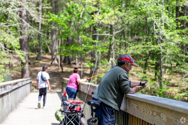 The Noland Trail is an award-winning five mile trail within the Mariners' Museum and Park.