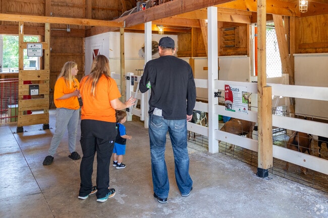 Bring the whole family to the petting zoo at Old McDonald's Farm in Bever Park.