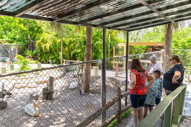Punta Gorda Isles animal lovers will enjoy admiring the birds at Peace River Wildlife Center.