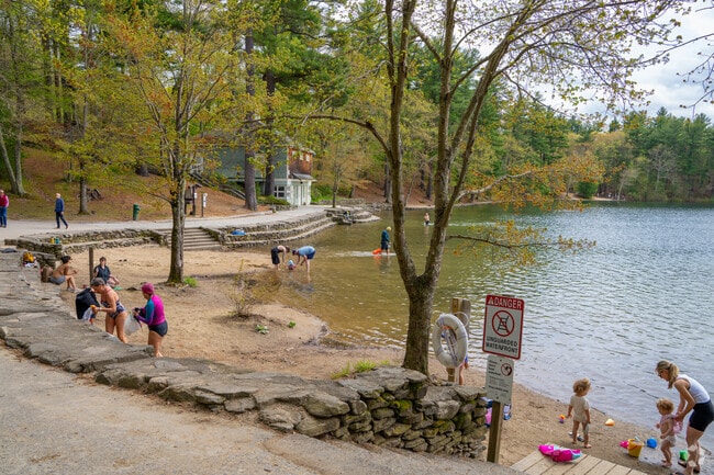 Walden Pond is an ideal destination for summer activities in Concord.