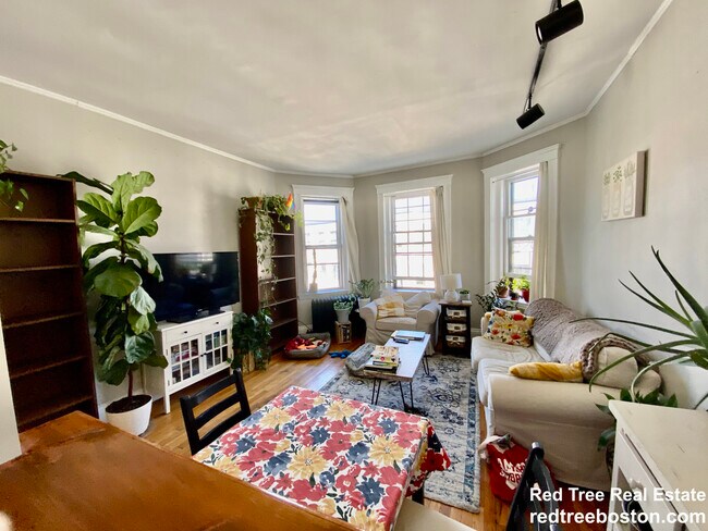1572 Commonwealth Ave unit 6, Brighton, MA 02135 - photo 6