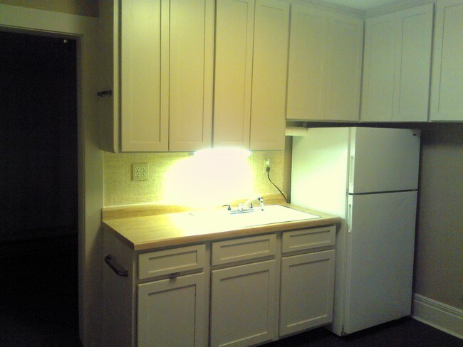 505 5th Ave S unit 505, La Crosse, WI 54601 - photo 3