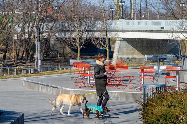 Promenade Park is a great place for Bloomingdale residents to walk their dogs.