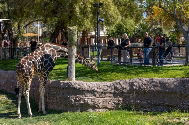 Reid Park Zoo offers an animal encounter, where guests can feed a giraffe.