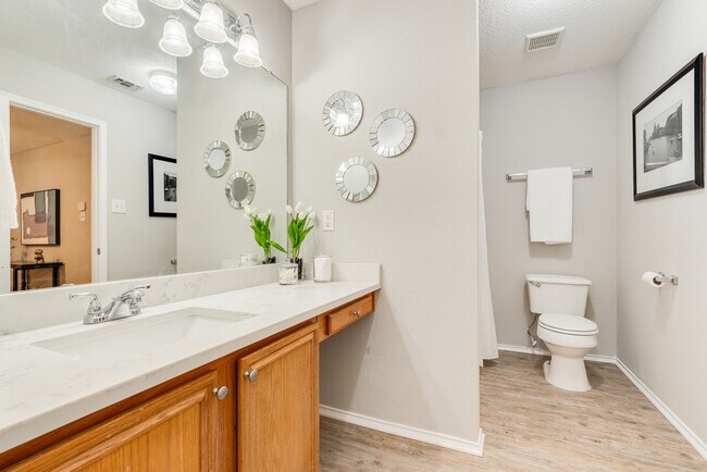 2508 Concina Way unit 2508 Concina Way, Fort Worth, TX 76108 - photo 5