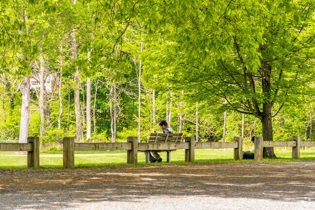 The South Branch of the Raritan River also offers peaceful green spaces, perfect for walking, relaxing, and reconnecting with nature.
