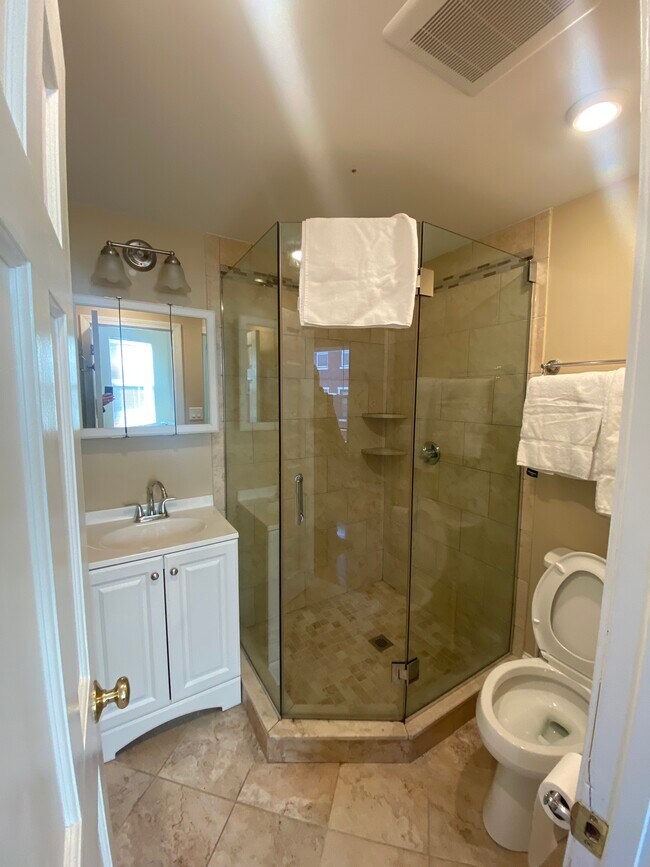 17 Burney St unit 3, Roxbury Crossing, MA 02120 - photo 5