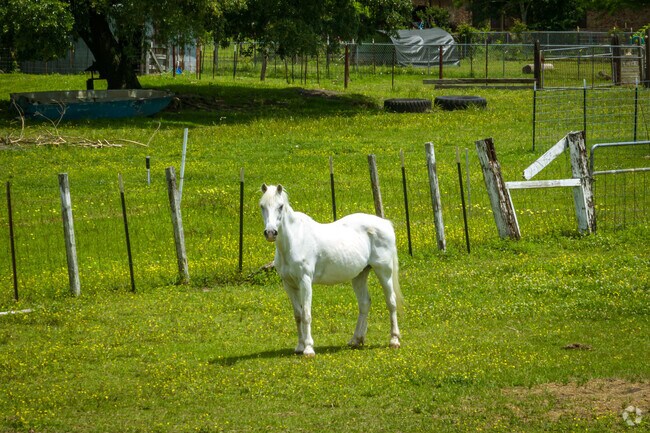 Pearland Pony Rides and Parties offers birthday parties for kids in Brookside Village.