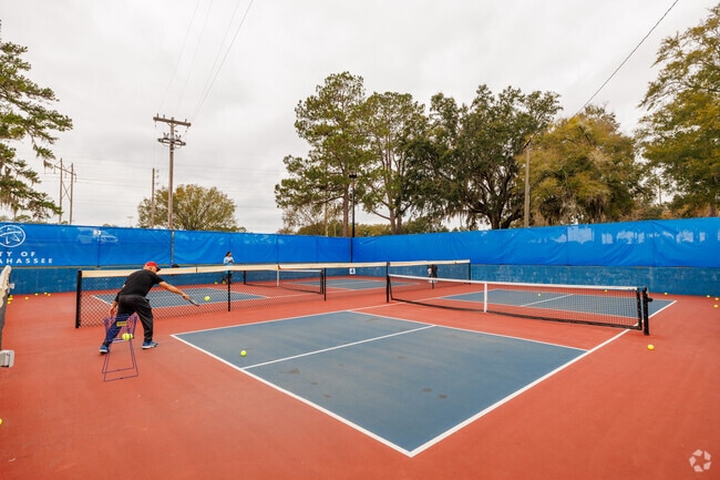 Pickleball courts are usually full at Tom Brown Park in Buck Lake.