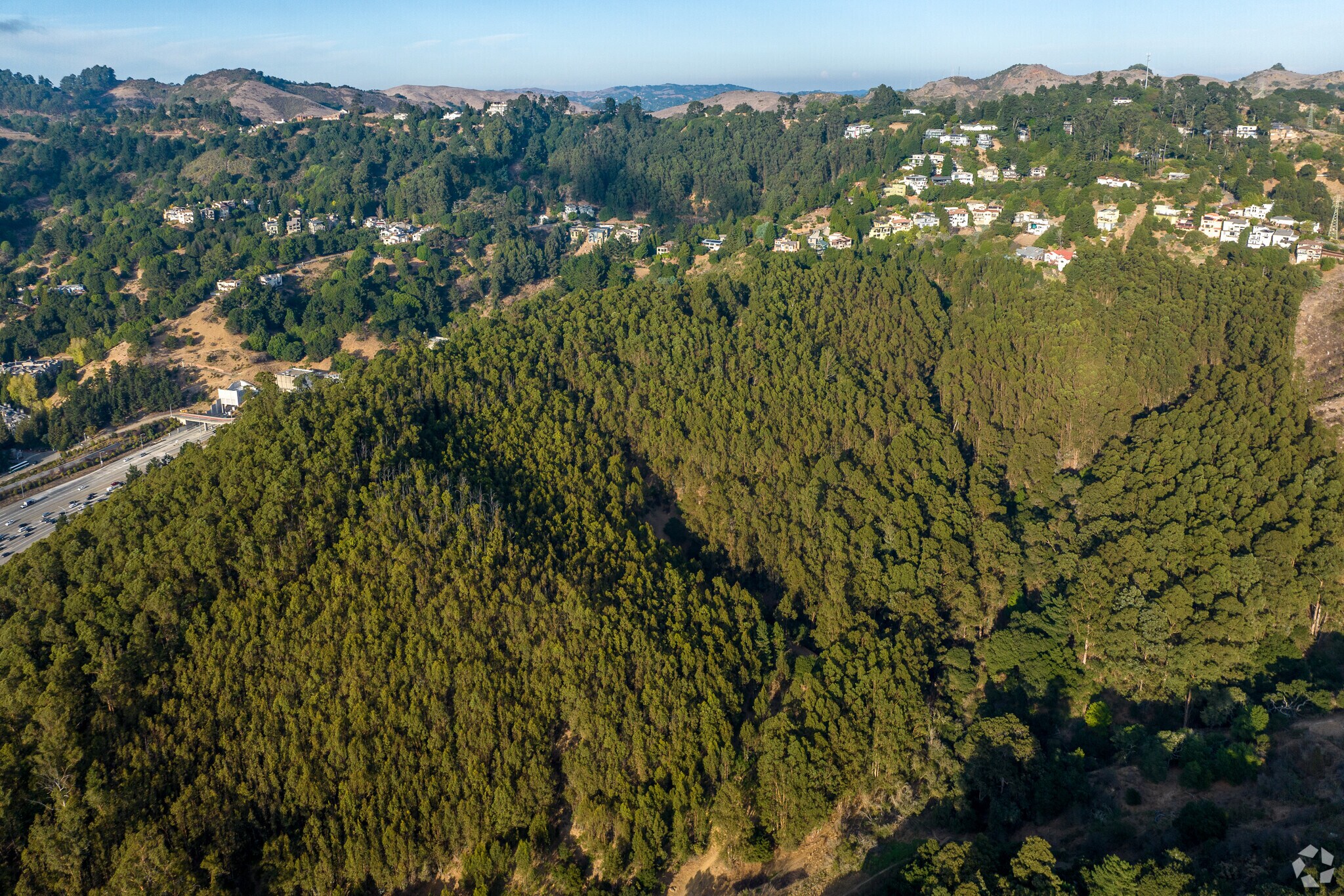 The Merriewood Forest area at the Northwest part of the Merriewood neighborhood of Oakland.