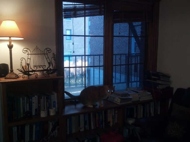 103 W 39th St unit D1, Baltimore, MD 21210 - photo 7